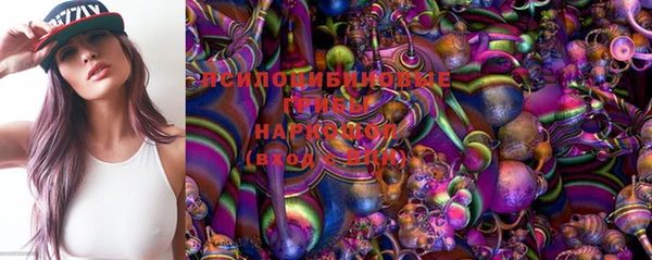 mdpv Богородицк
