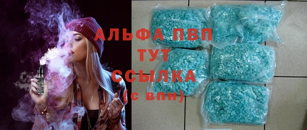 ECSTASY Богородск