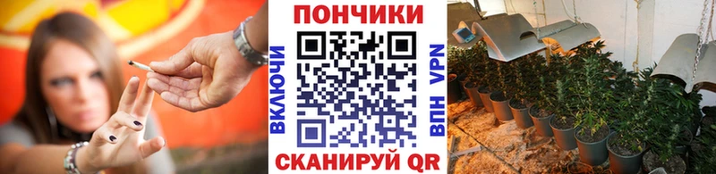 Марихуана сатива Будённовск